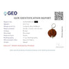 7 Mukhi Rudraksha Pendant A Premium Quality